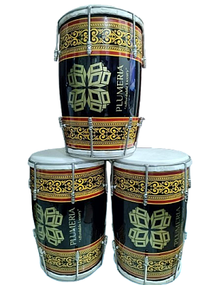 Plumeria - Thumbnail 3