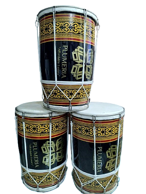 Plumeria - Thumbnail 6